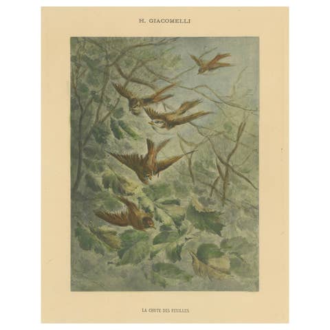 Autumn Flight - Giacomelli’s Sparrows in Falling Leaves, Circa 1891