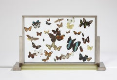 vitrine "Aux Papillons" de Jean-Charles Moreux:: vers 1930