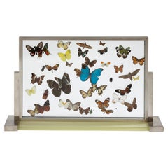 Vintage "Aux Papillons" 'Butterflies' Display Cabinet by Jean-Charles Moreux, circa 1930