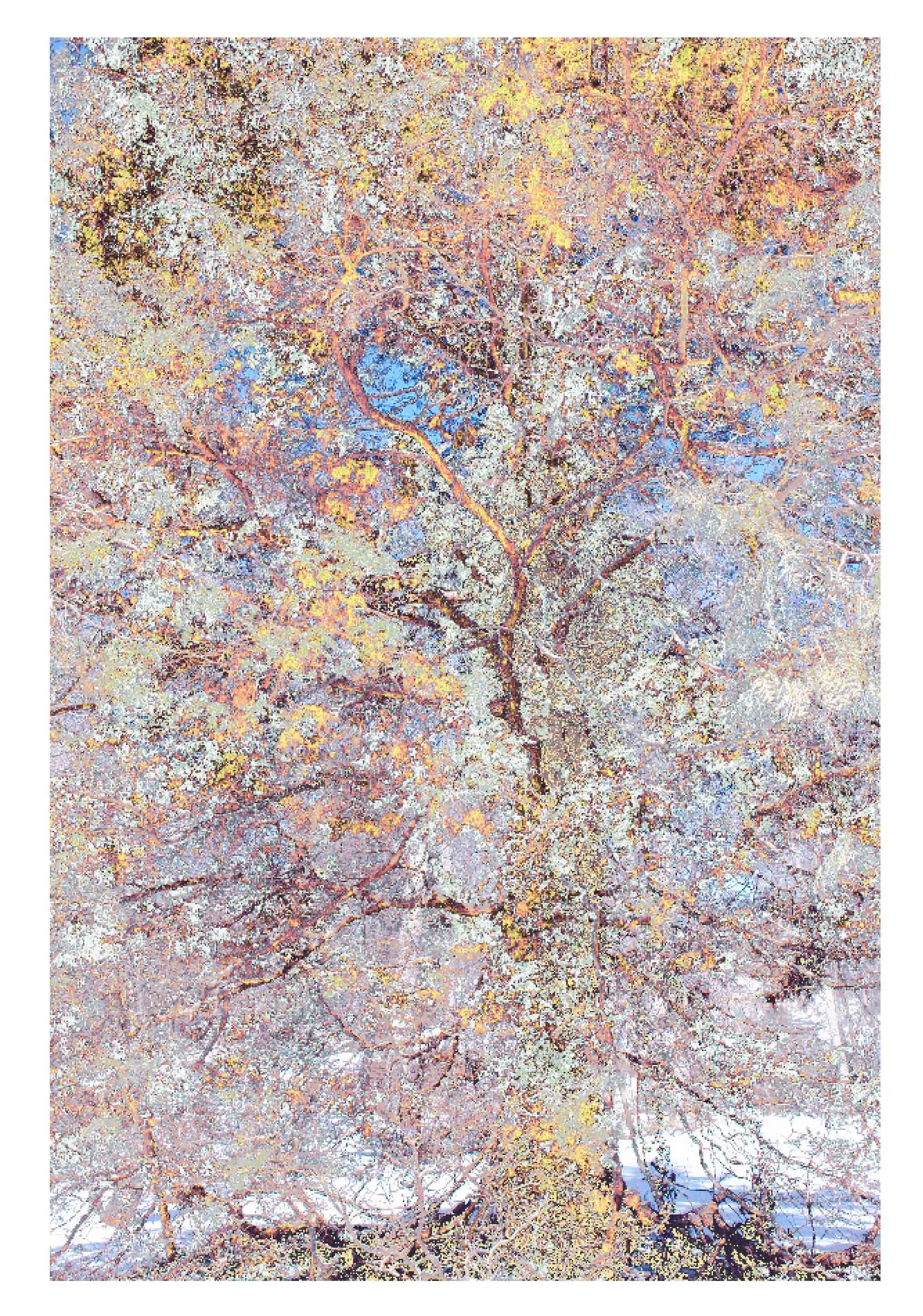 Ava Blitz Abstract Painting - Drunken Oak: original watercolor painting on archival pigment photograph of tree