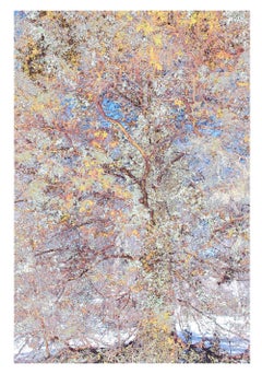 Ava Blitz - Drunken Oak: original watercolor painting on archival pigment photograph of tree Drunken Oak: original watercolor painting on archival pigment photograph of tree