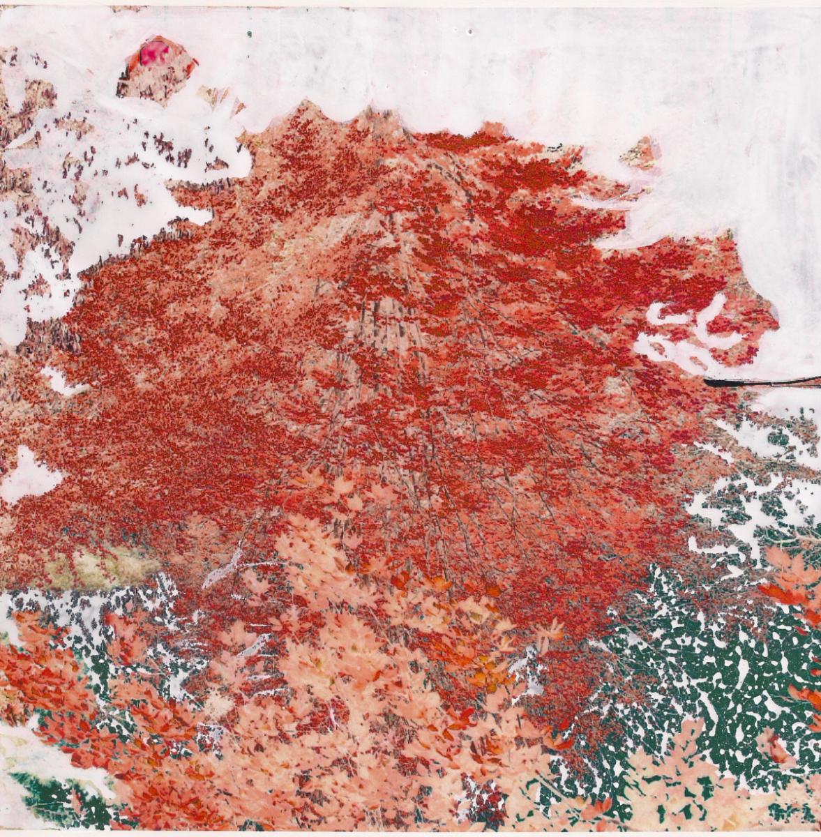 Burning (Rot) Bush: Original abstraktes Landschaftsgemälde auf Farbfotografie
