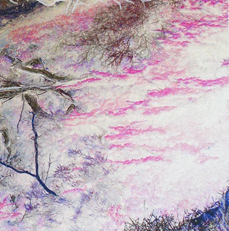 Cedar: original abstract drawing on altered color landscape photograph - Photograph by Ava Blitz