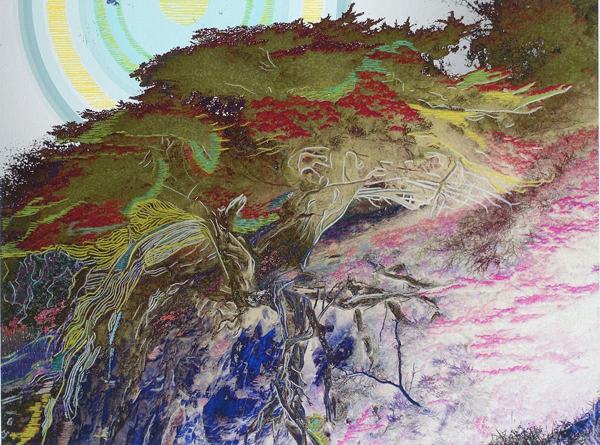 Cedar: original abstract drawing on altered color landscape photograph