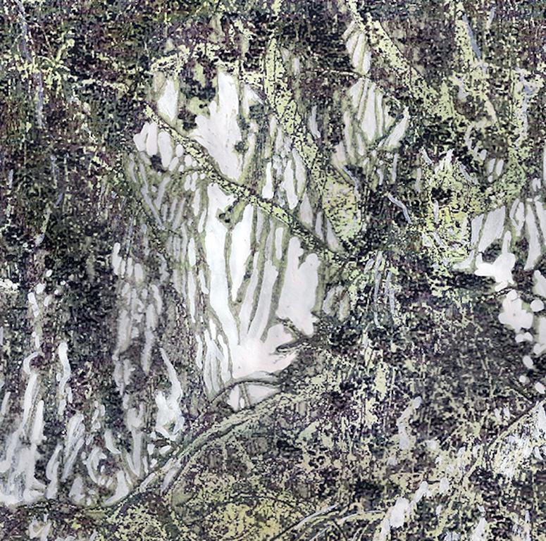 Kirschbaum in Schwarz-Weiß: Originalgemälde auf Fotografie, abstrakte Landschaft – Painting von Ava Blitz