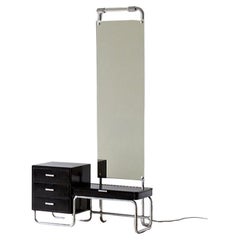 Vintage  Avant-garde Bauhaus tubular steel dressing mirror cabinet ba Hynek Gottwald