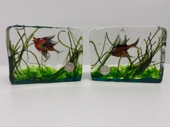 A.V.E.M 2 Aquarium block sculptures