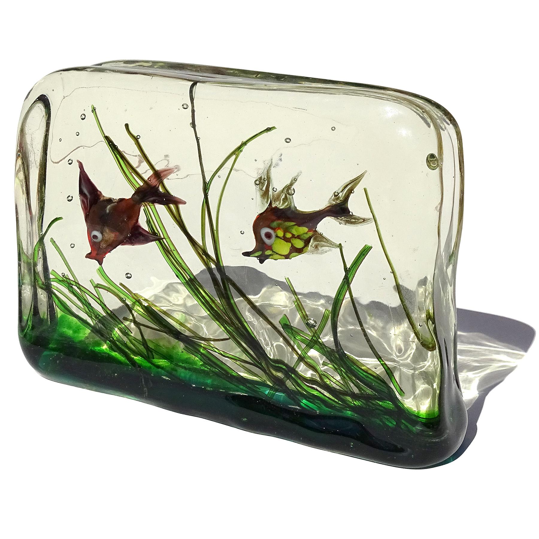 Fait main Aquarium italien en verre d'art de Murano, violet, rouge et vert, représentant deux poissons nageant en vente