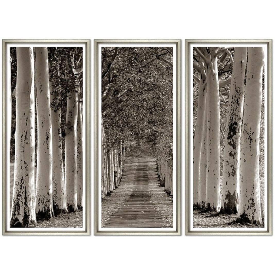 Avenue of Trees Triptych For Sale