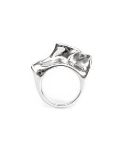 Aves Ardea Heavy Ring in Sterling Silver 925 by Elena Najdovska