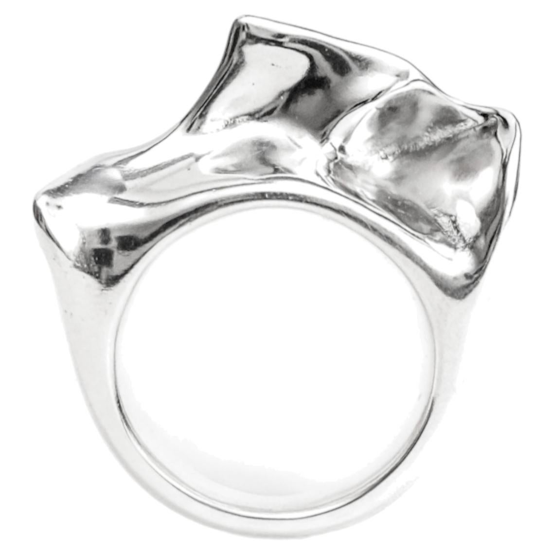 Anillo Aves Ardea Heavy, de plata de ley 925, de Elena Najdovska