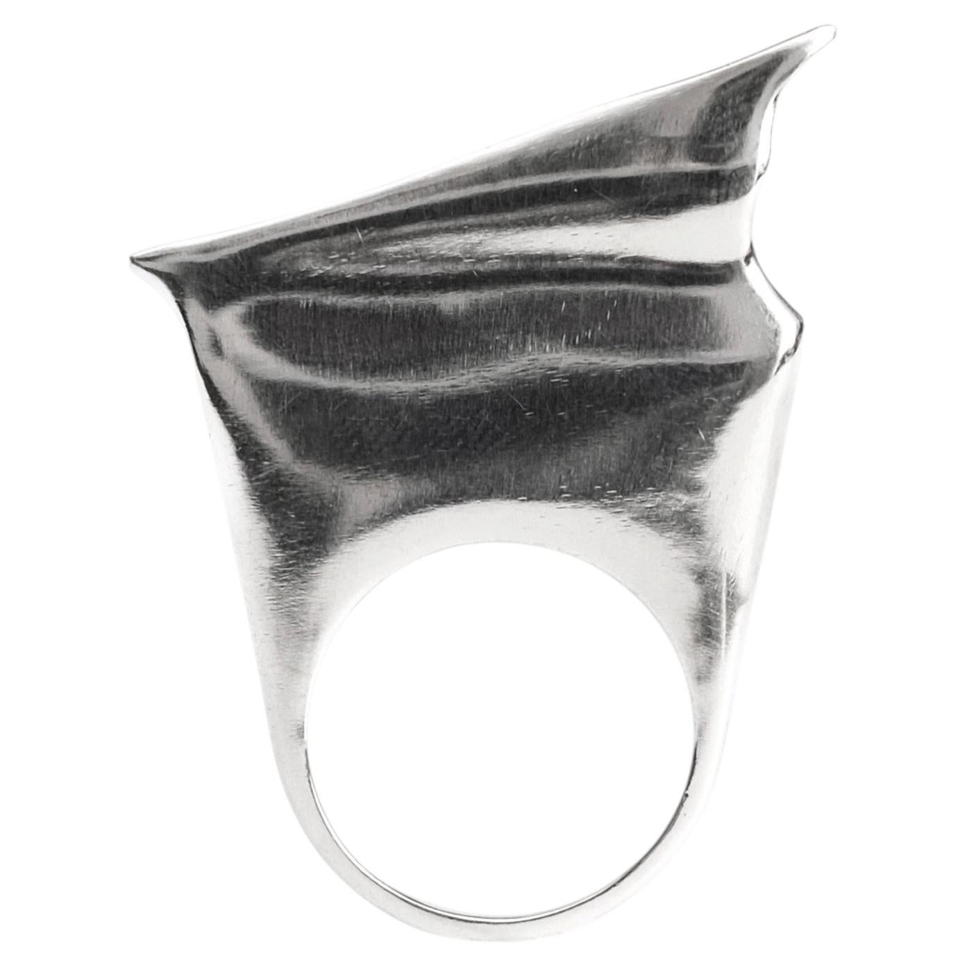 Anillo «Aves Pygoscelis» en plata de ley 925, de Elena Najdovska