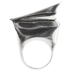 Aves Pygoscelis Ring in Sterling Silver 925 by Elena Najdovska