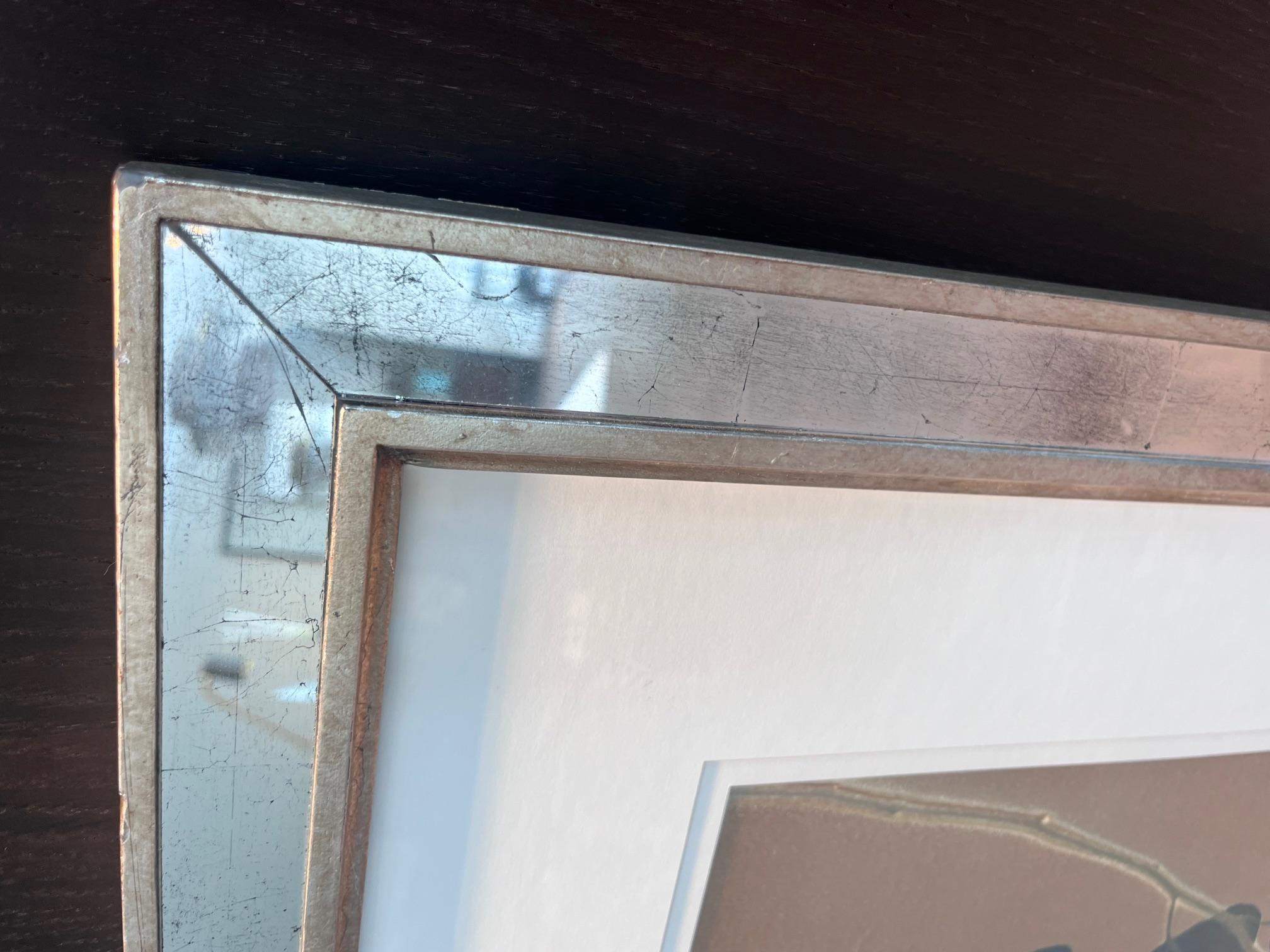 Modern Aviva Textiles - Eucalyptus Cream, Silver Leaf Mirror Frame For Sale
