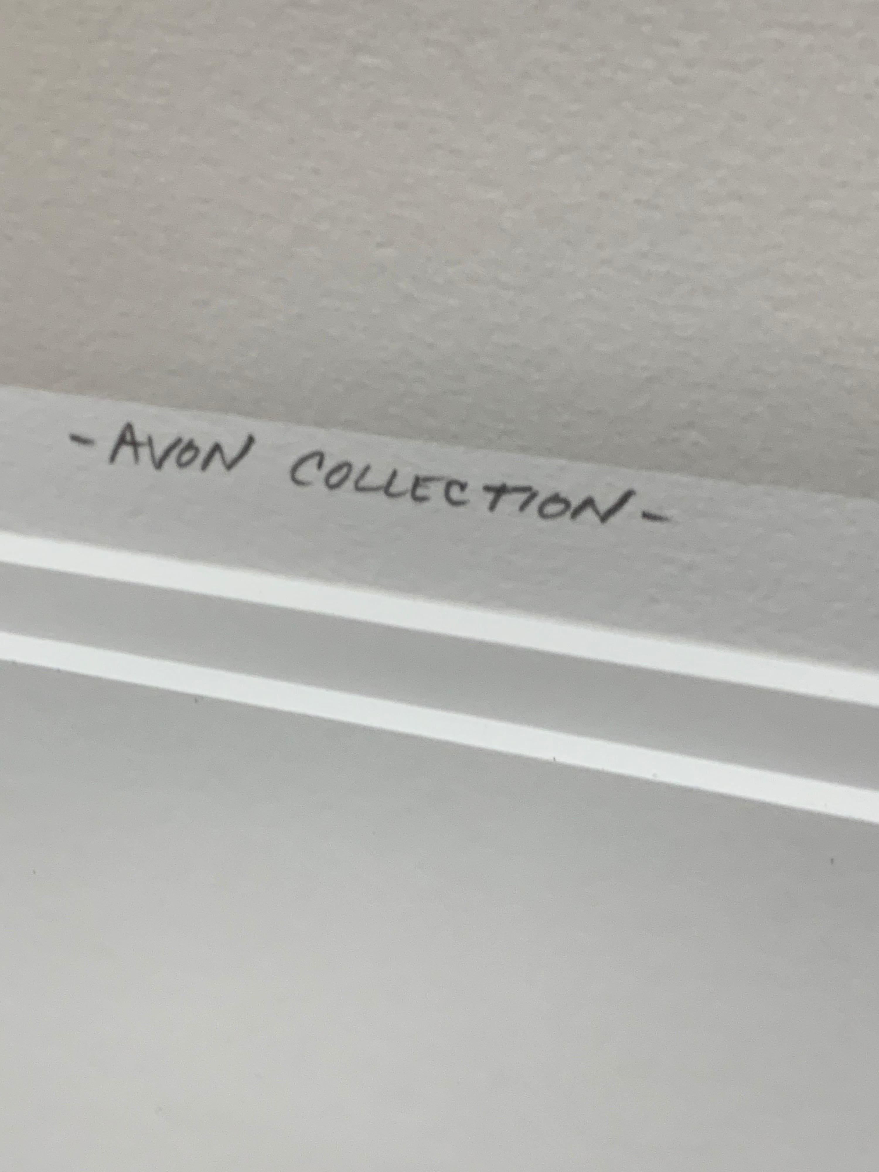 Plastic Avon Collection Original Signed Steven N. Meyers Photograph 