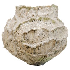 Awakening  Bloom Vase with Green