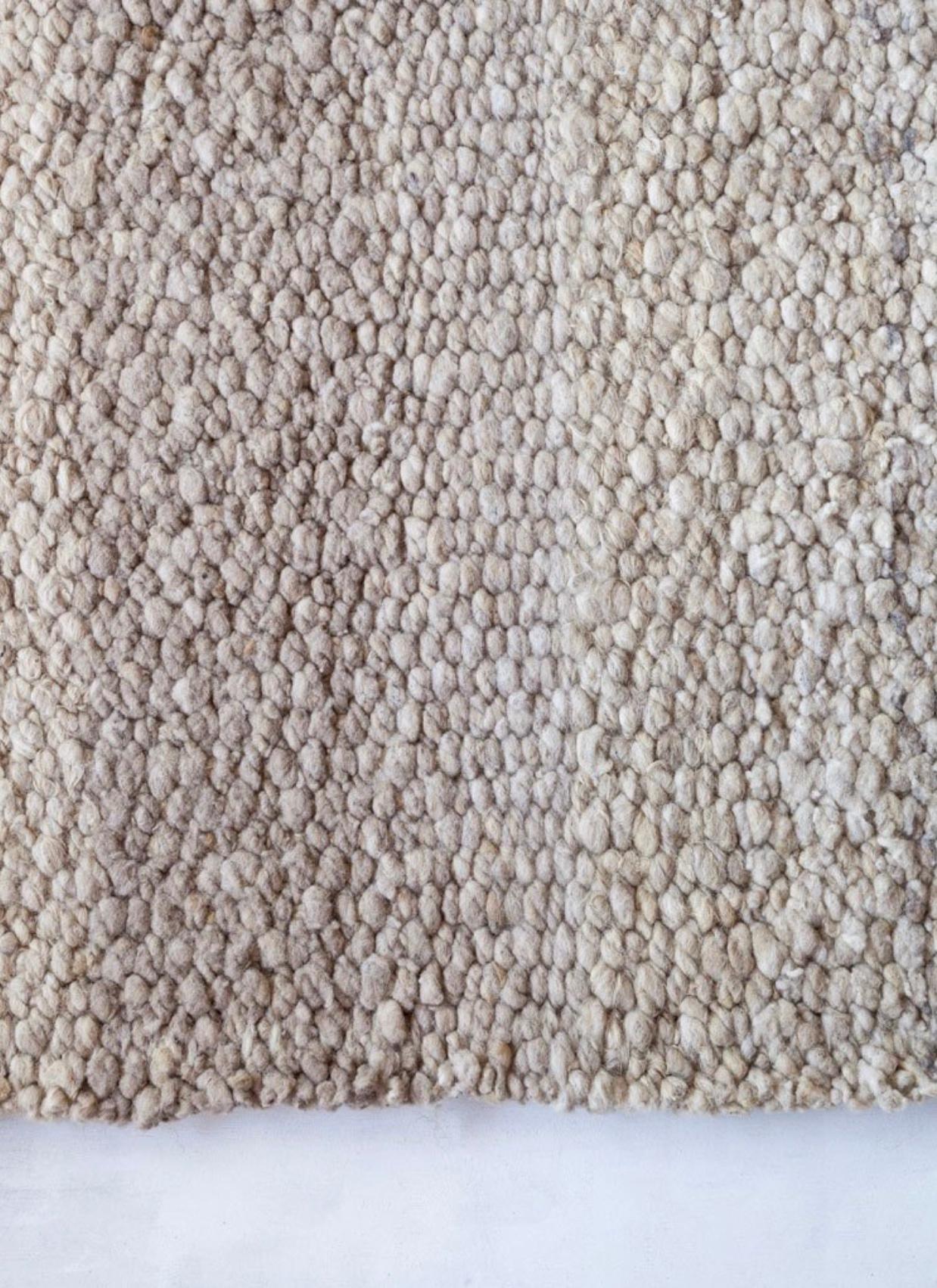 Awanay Wool Area Rug in Jume Earthy Tone - Medium Weave 10ft by 13ft (Argentinisch) im Angebot