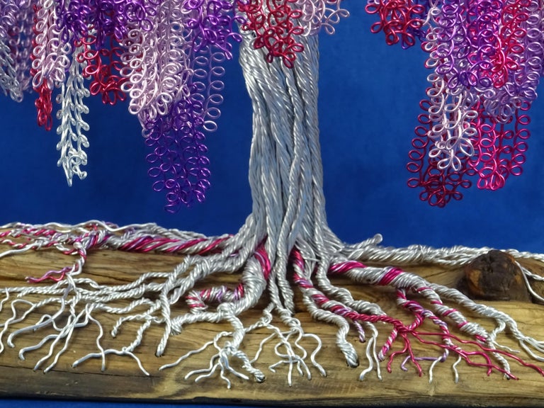 Zen Bonsai "Wisteria falls", Handmade in Italy, Signed by the artist,  certified For Sale at 1stDibs | wisteria bonsai, wisteria tree bonsai, bonsai  wisteria