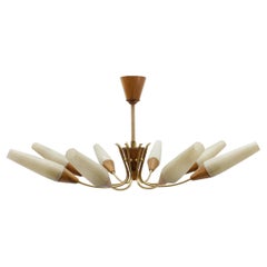 Awesome Brass and Wood Spider Lamp with Glass Shades, 1950s
