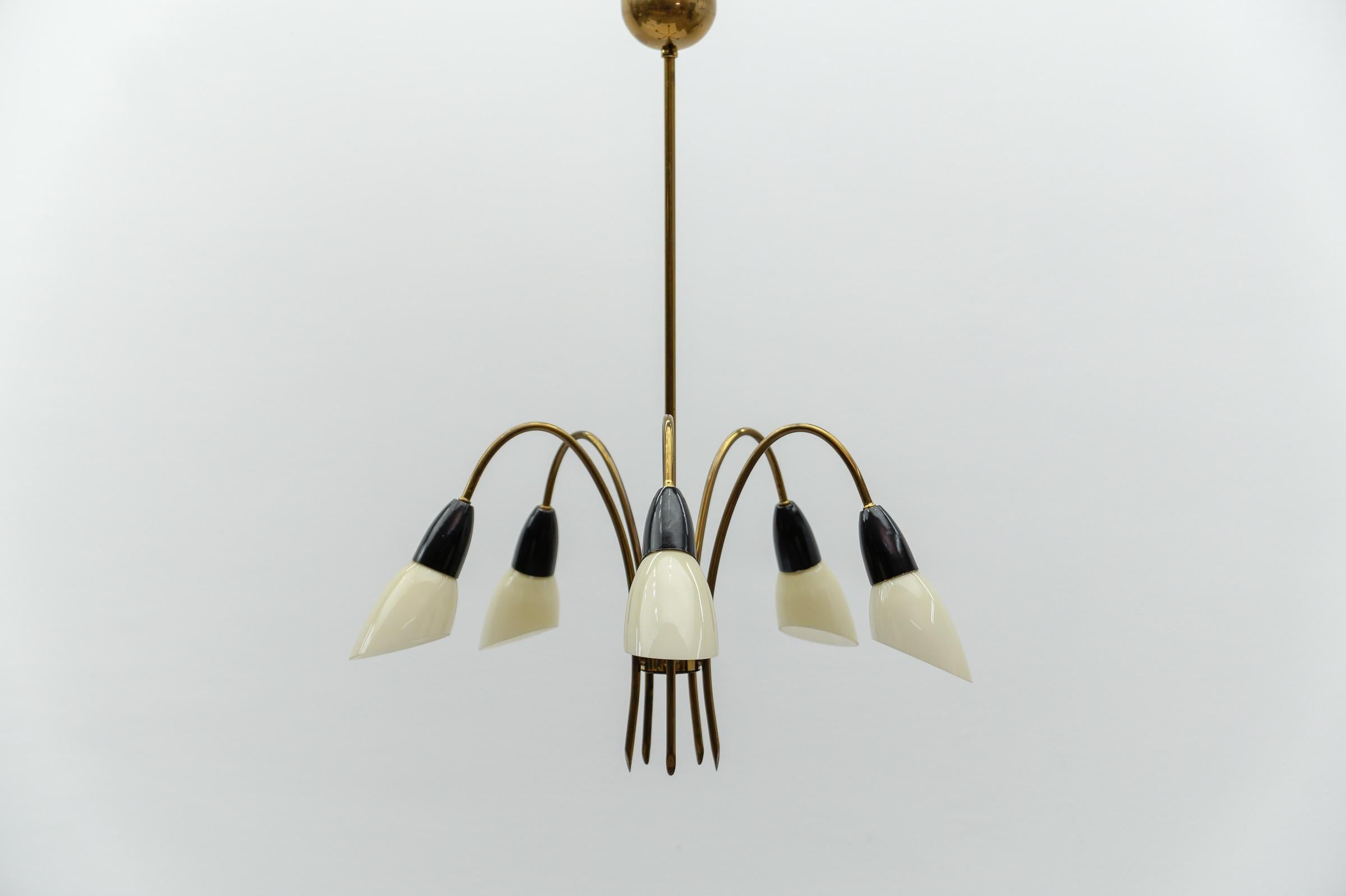 Awesome Brass Spider Lamp with Glass Shades, 1950s Italy

Rare and elegant midcentury Sputnik lamps, 1950s, Italy. Executed in metal and brass.

The usual slight signs of wear and a beautiful patina.

The lamp is executed with 5 x E14 Edison screw