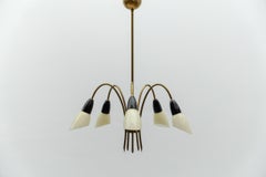 Awesome Brass Spider Lamp with Glass Shades, 1950s Italy