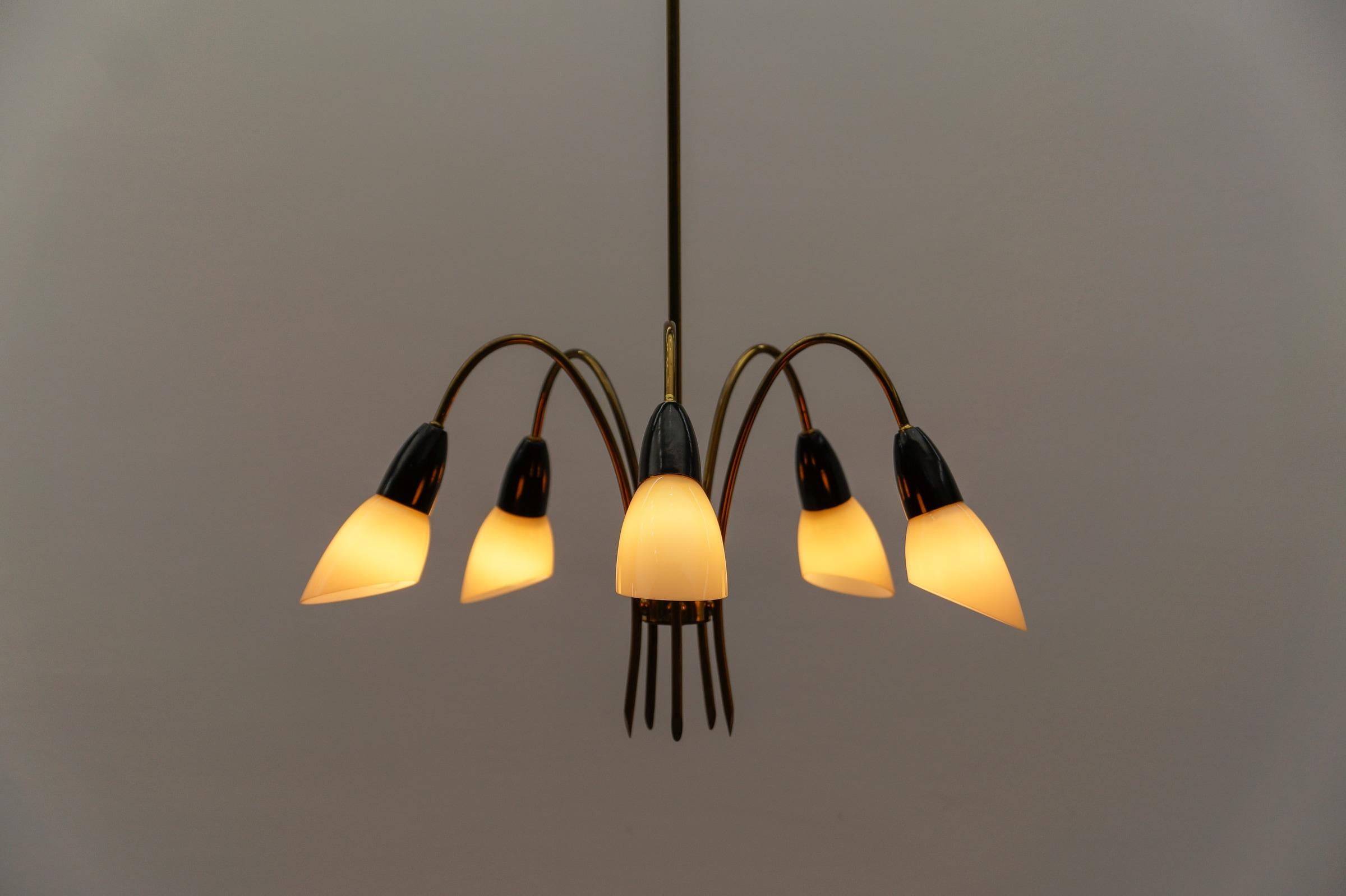 Awesome Brass Spider Lamp with Glass Shades, 1950s Italy In Good Condition For Sale In Nürnberg, Bayern