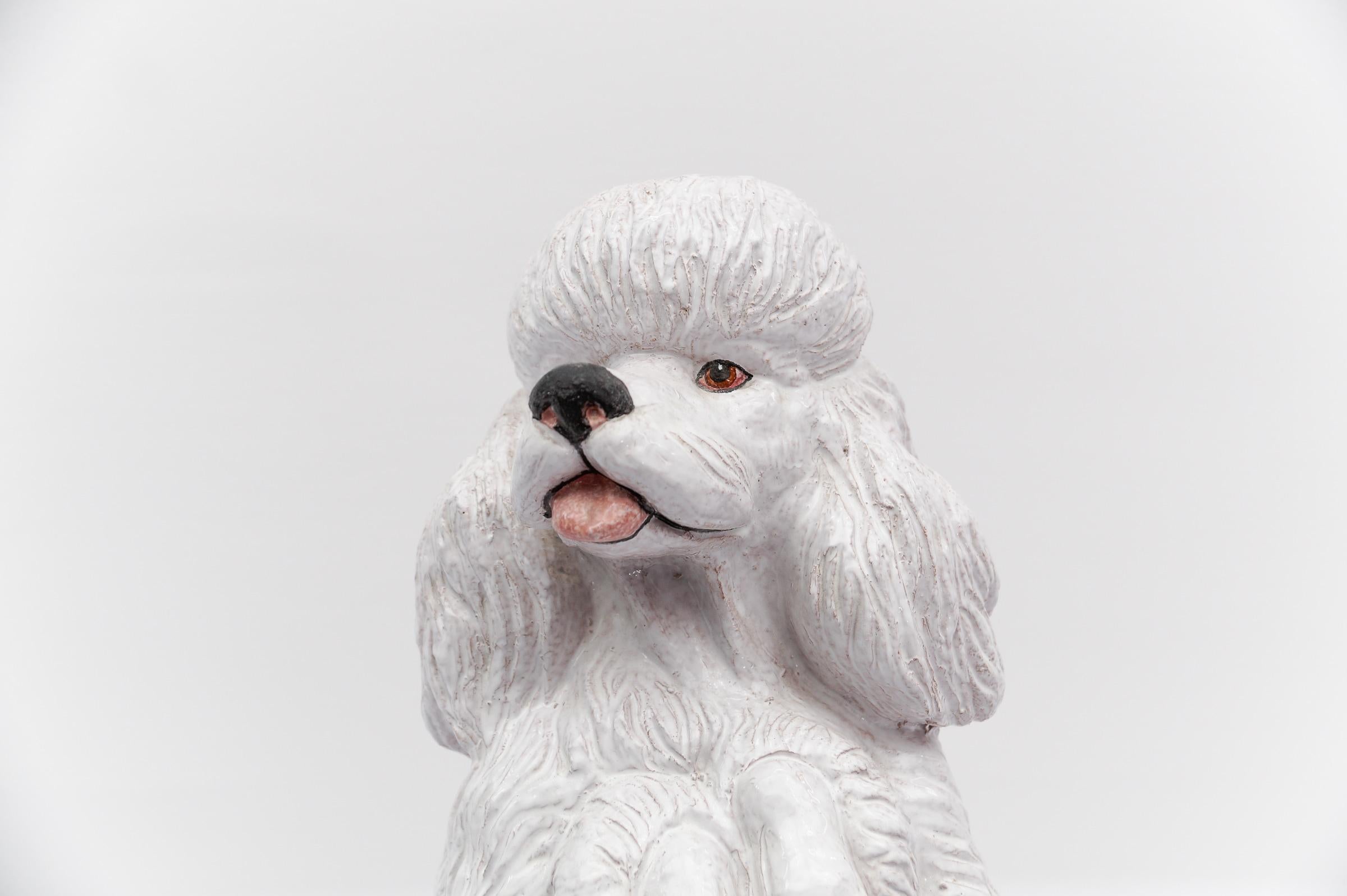 Superbe caniche en céramique réaliste d'Italie, années 1960 en vente 4