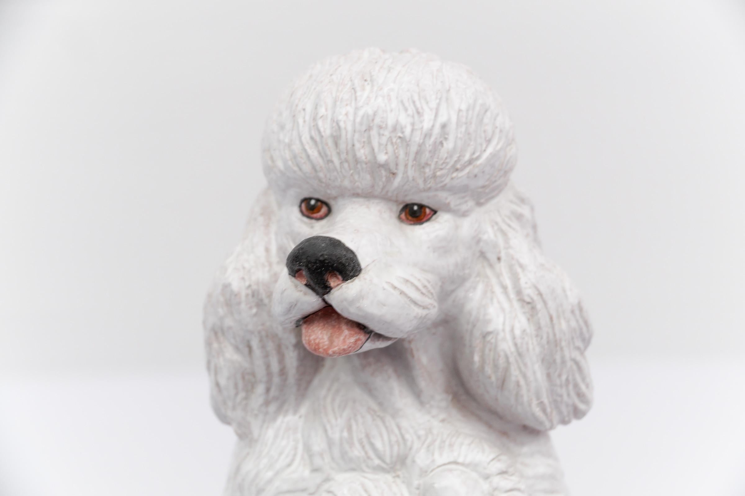 Superbe caniche en céramique réaliste d'Italie, années 1960 en vente 6