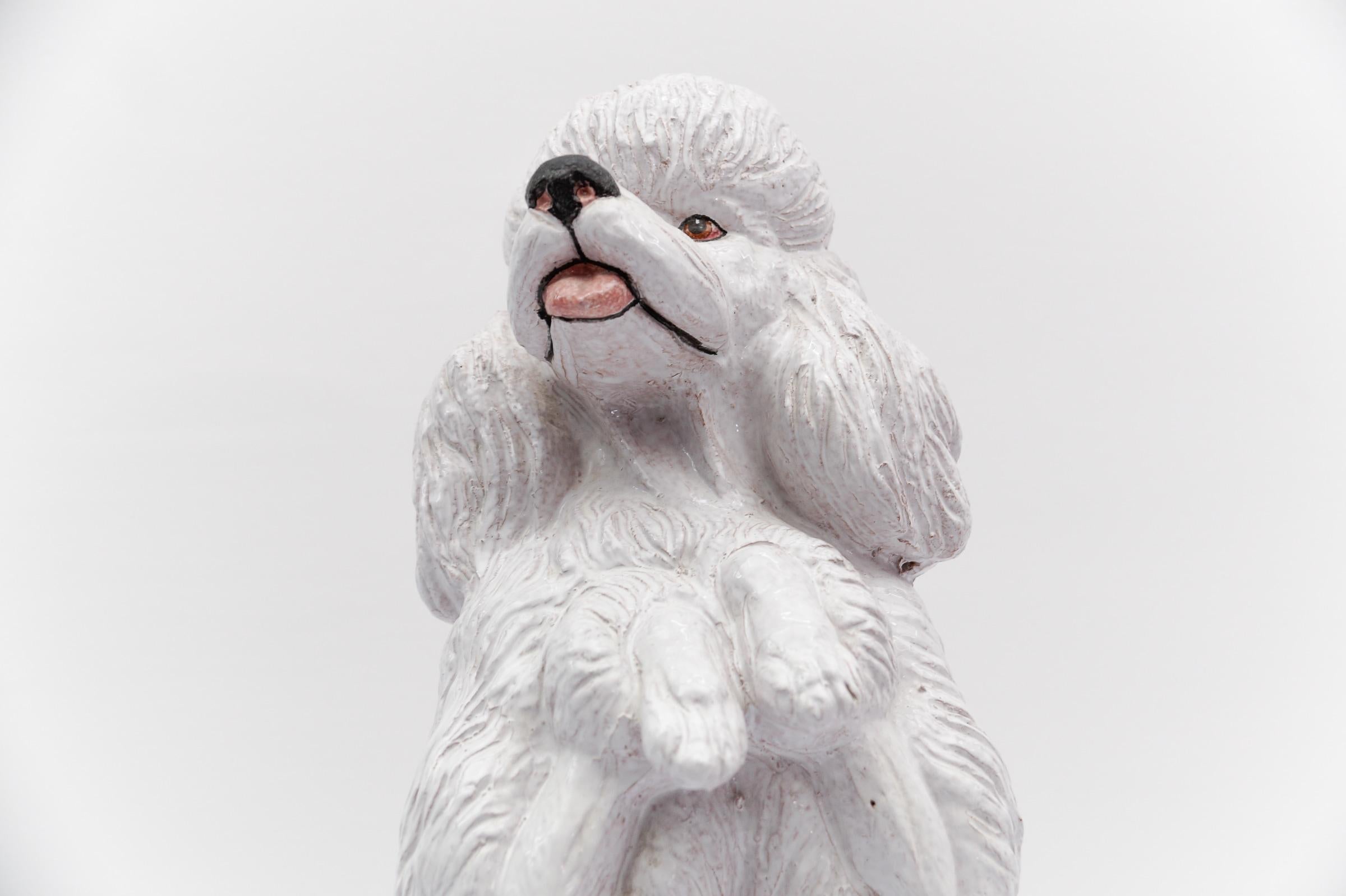Superbe caniche en céramique réaliste d'Italie, années 1960 en vente 7