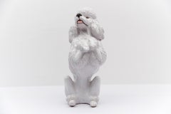 Awesome realistic ceramic Poodle from Italy, 1960s