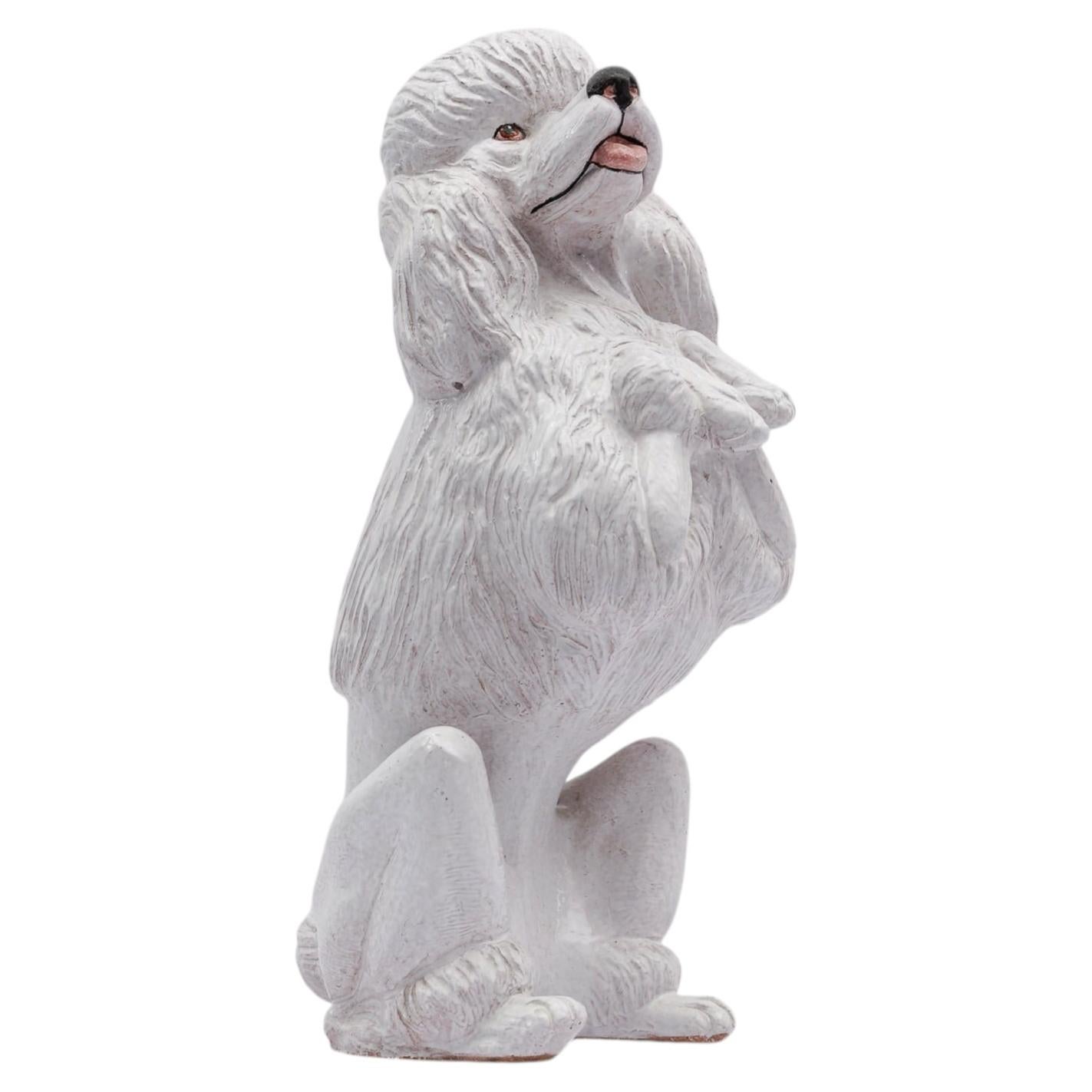 Awesome realistic ceramic Poodle from Italy, 1960s