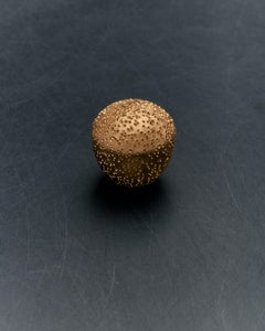 Awl Brass Knob by V.Brokkr, Handmade in Australia, Modern Design, 3cm