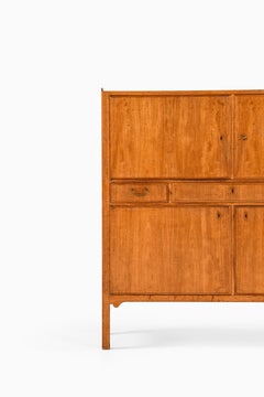 Cabinet Axel Bäck Prodotto da Eksjö Möbelfabrik in Svezia