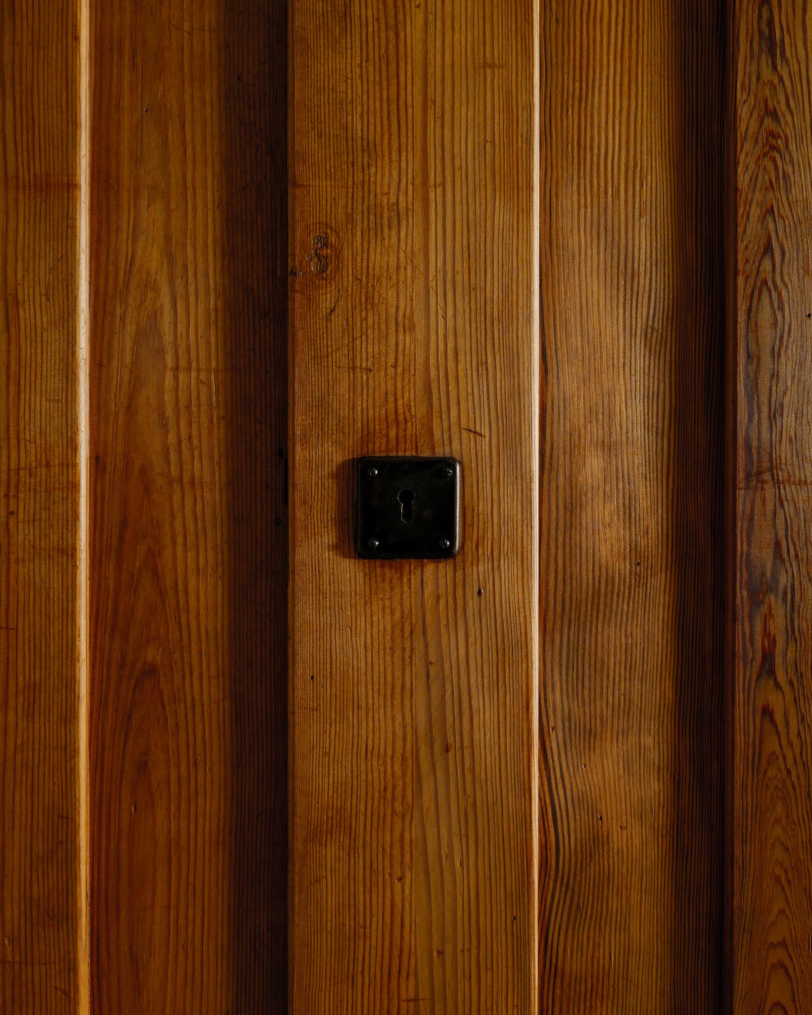 Scandinavo moderno Armadio in legno 