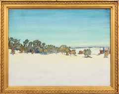 Sandhamn, arcipelago svedese Paesaggio invernale