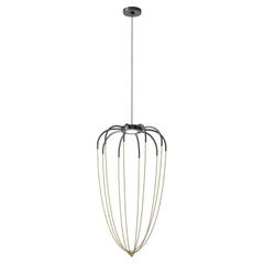 Axolight Alysoid Medium Pendant Lamp in Anthracite Grey with Brass Chains