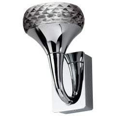Axolight Fairy Wall Lamp in Grey by Manuel & Vanessa Vivian
