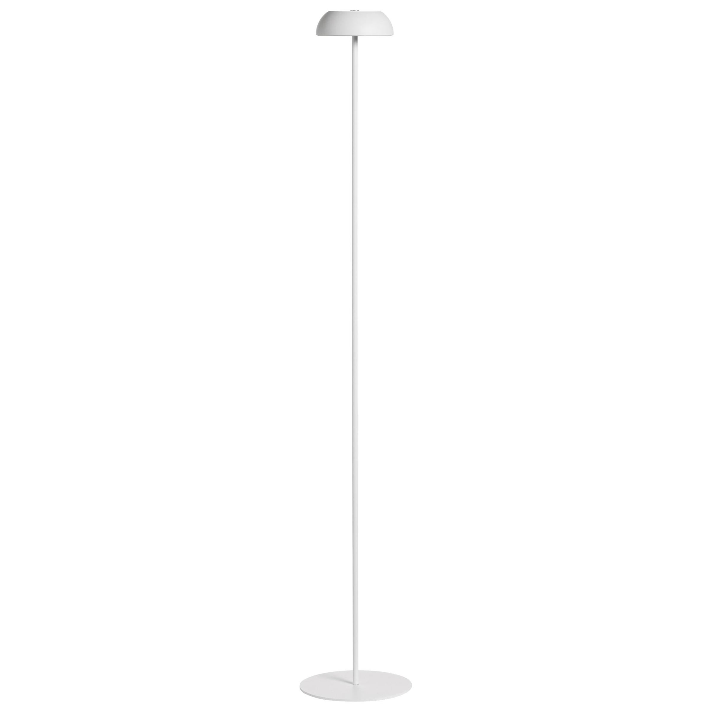 Lámpara de pie Axolight Float de aluminio blanco y acero by Mario Alessiani