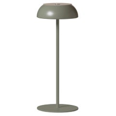 Axolight Float Table Lamp in Concrete Green Aluminum & Steel by Mario Alessiani