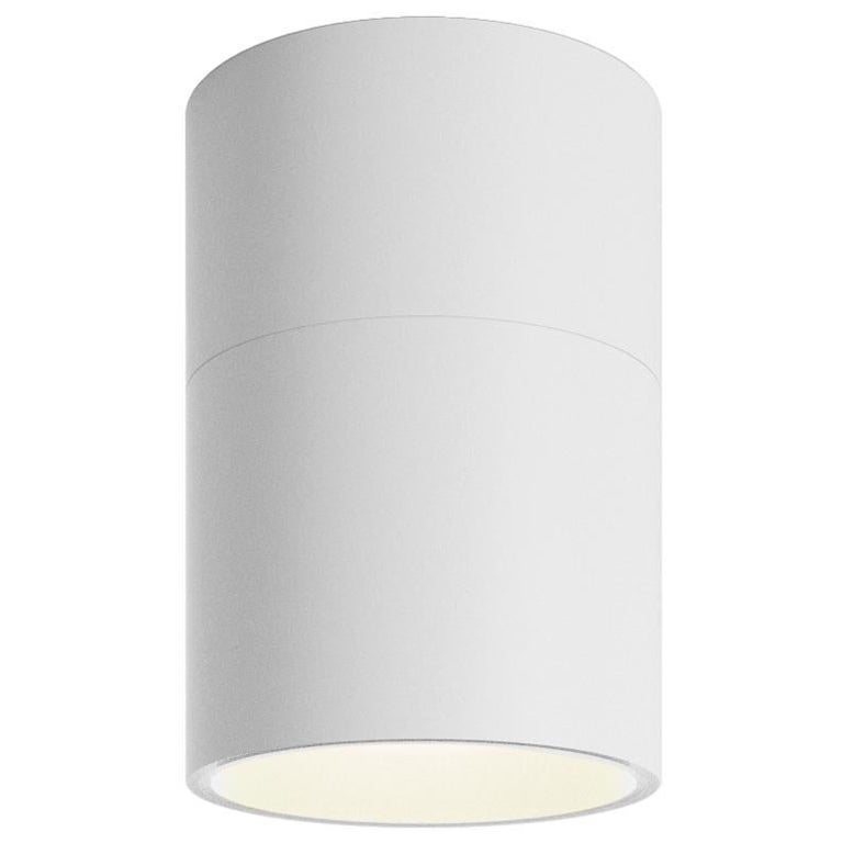 Axolight Lámpara de techo pivotante pequeña en blanco by Ryosuke Fukusada