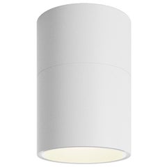 Axolight Lámpara de techo pivotante pequeña en blanco by Ryosuke Fukusada