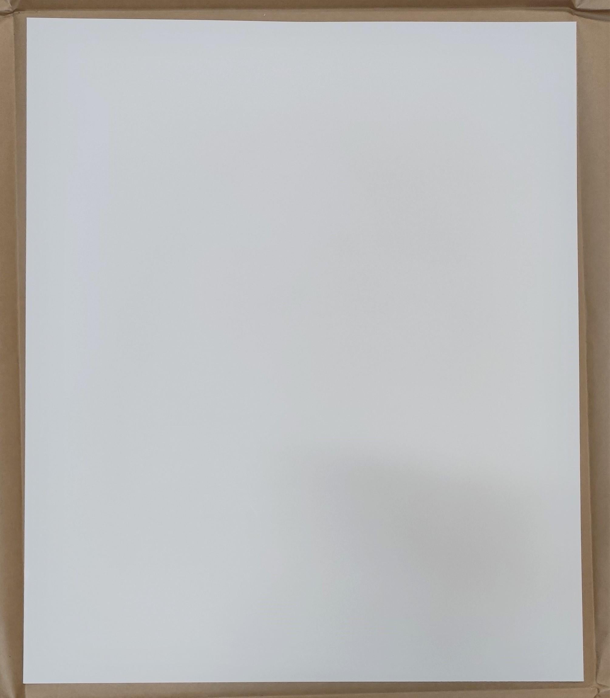 Fallin'-Manma-Air. Limited Edition Offset print by Aya Takano
Offset print, numbered and signed by the artist
23 ¹/₃₂ x 19 ¹³/₃₂ in
58.5 x 49.3 cm
Edition  131/300


