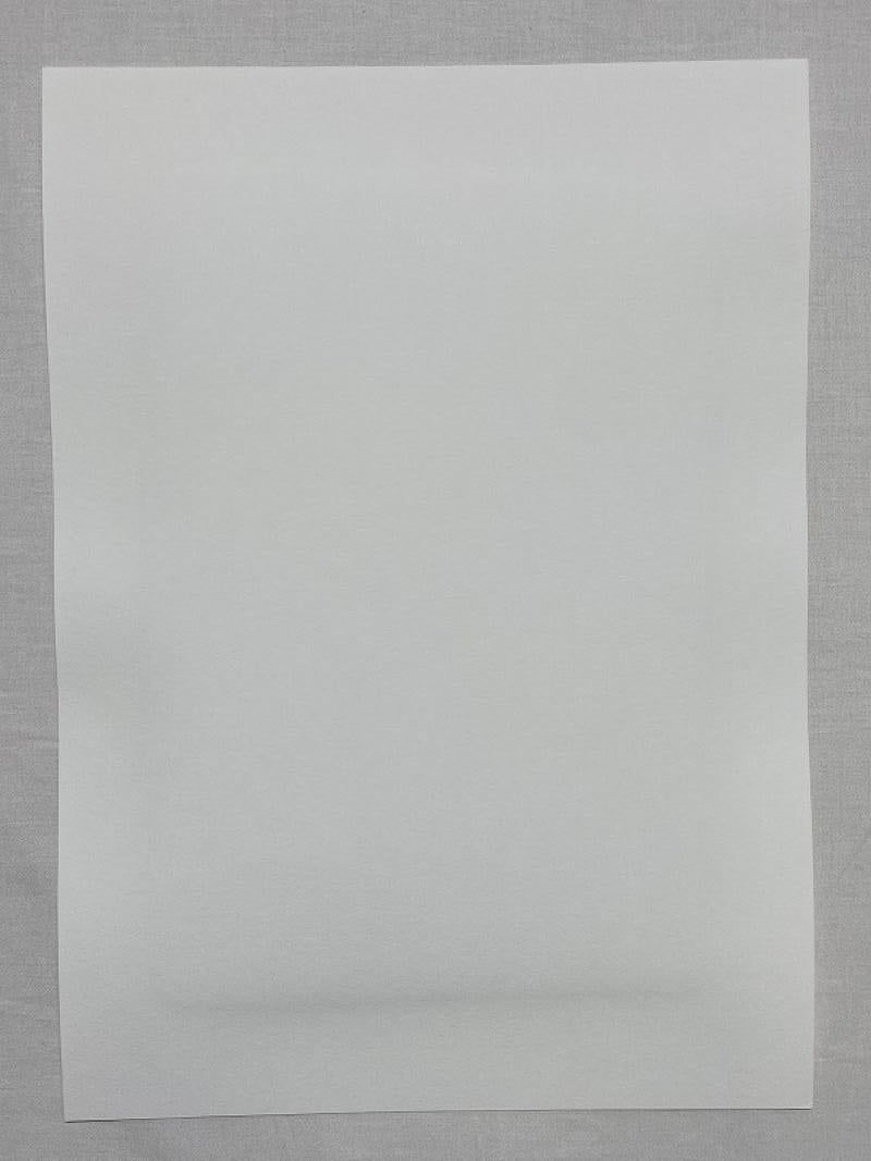 Future tägliche Morgen Routine (2020). Limitierte Auflage von 50 Exemplaren von Aya Takano, signiert im Angebot 3