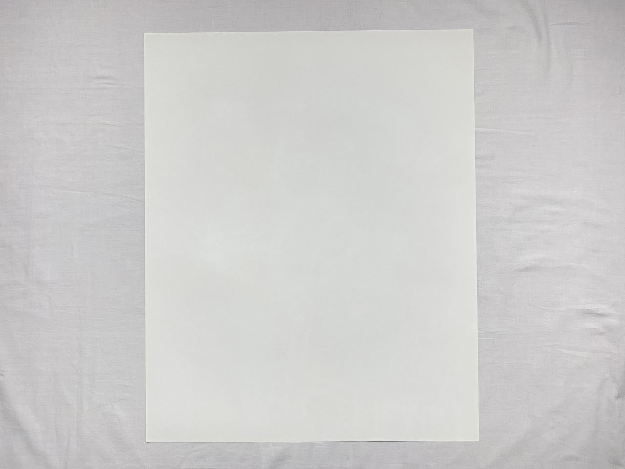 Noshi & Meg on Earth Year 2036 (2005) Offset print by Aya Takano signed For Sale 4