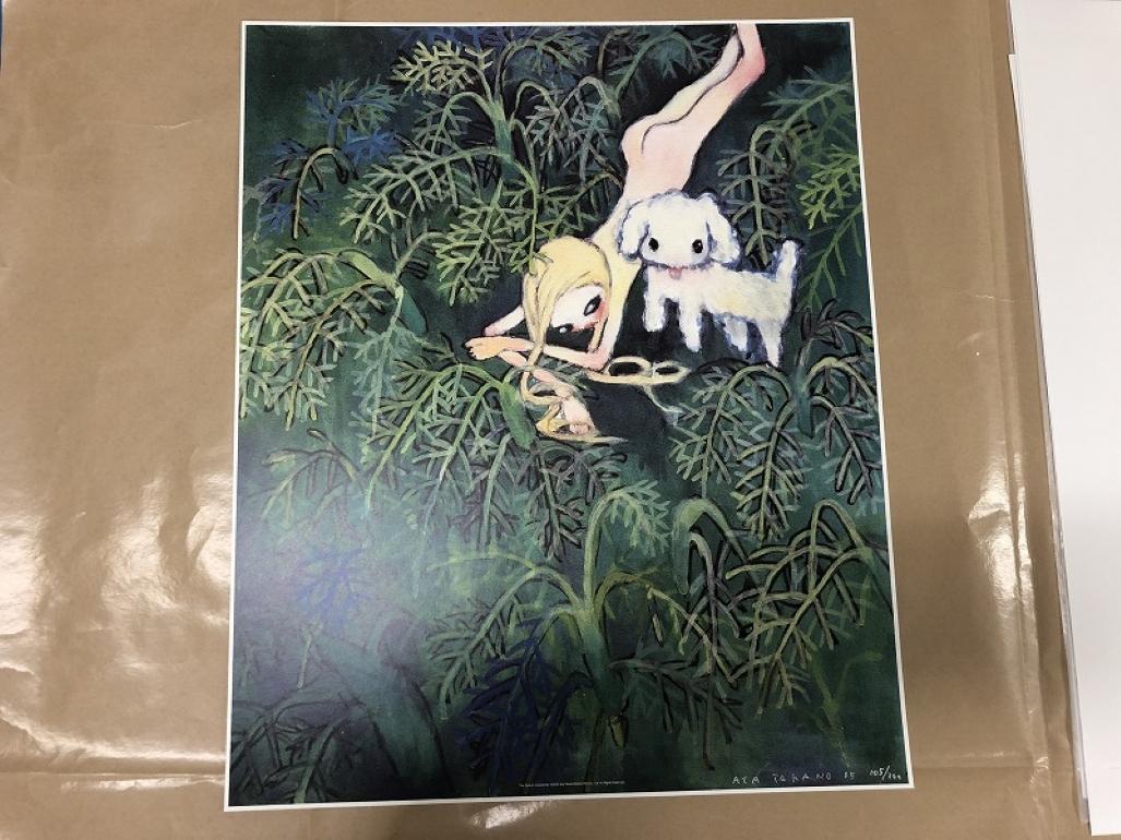 Le praterie turche. Stampa offset di Aya Takano - Print di Aya Takano 