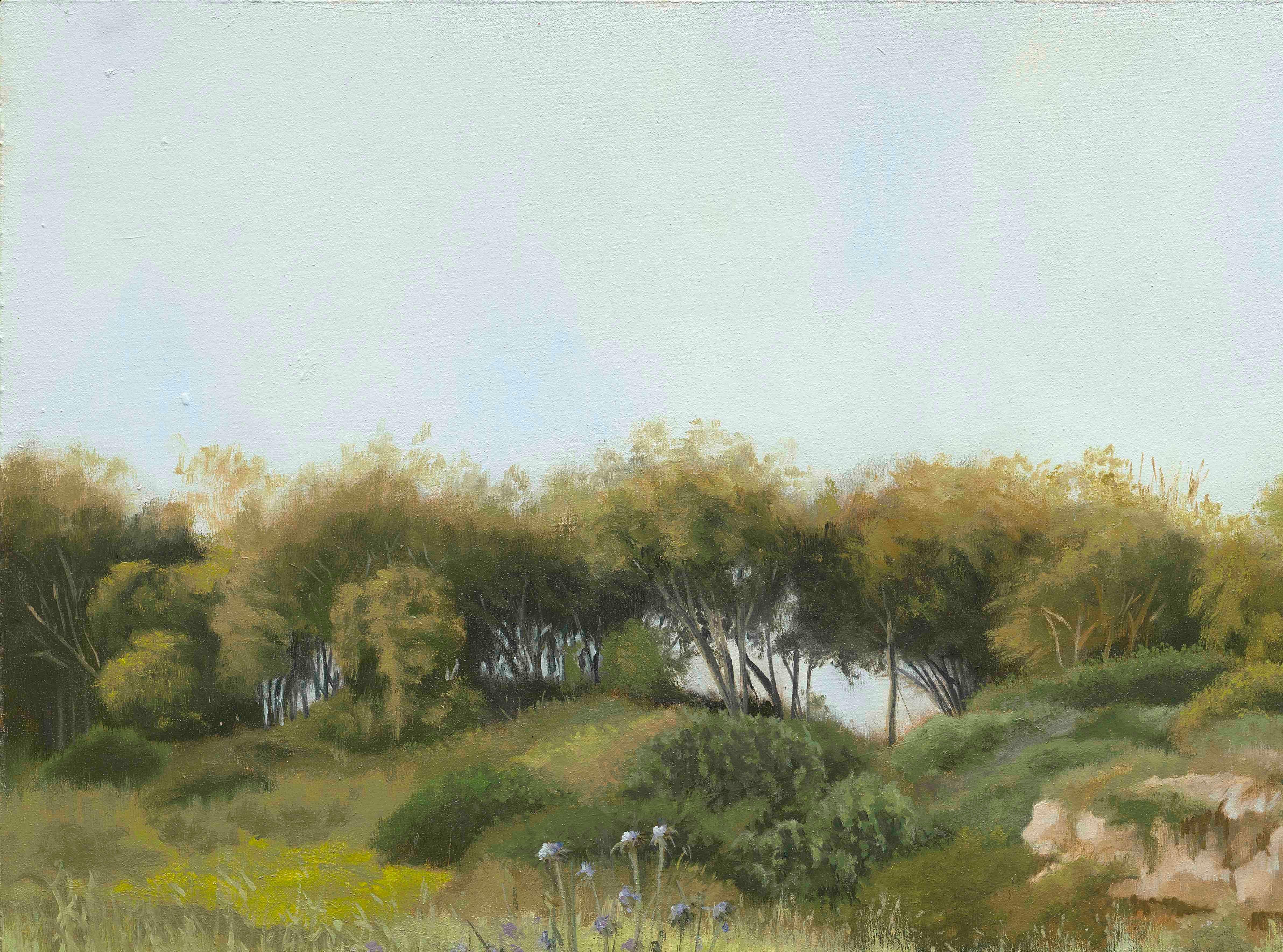 Cardo - paesaggio dipinto 1