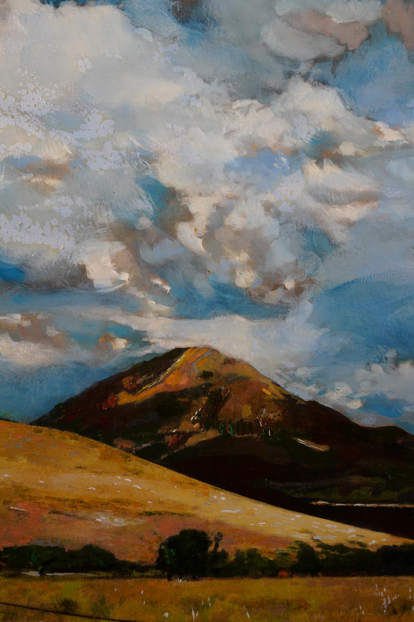 Montagne des champs - Contemporain Painting par Ayline Olukman