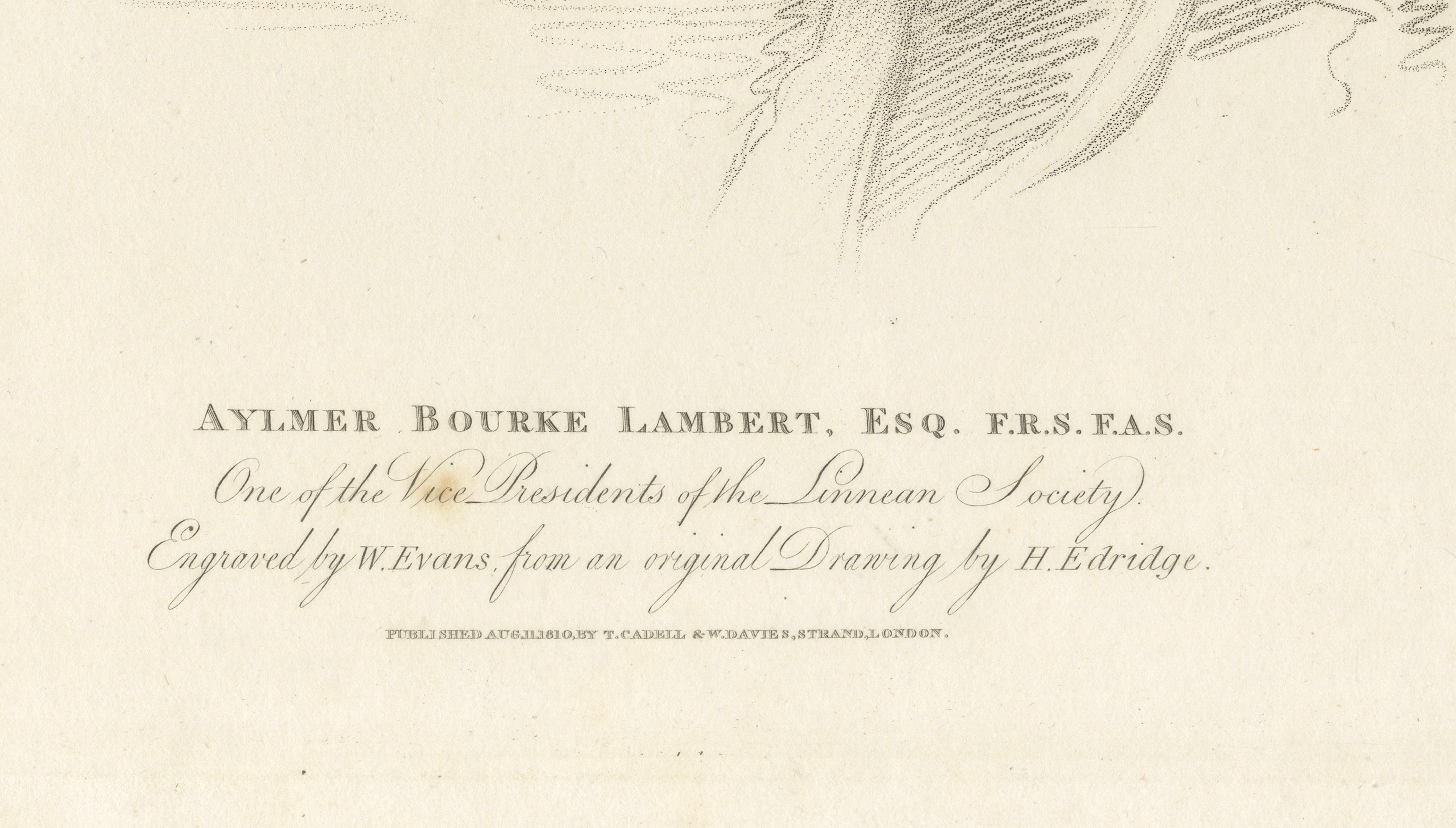 Aylmer Bourke Lambert Portrait, Botanical Stipple Engraving, William Evans 1810