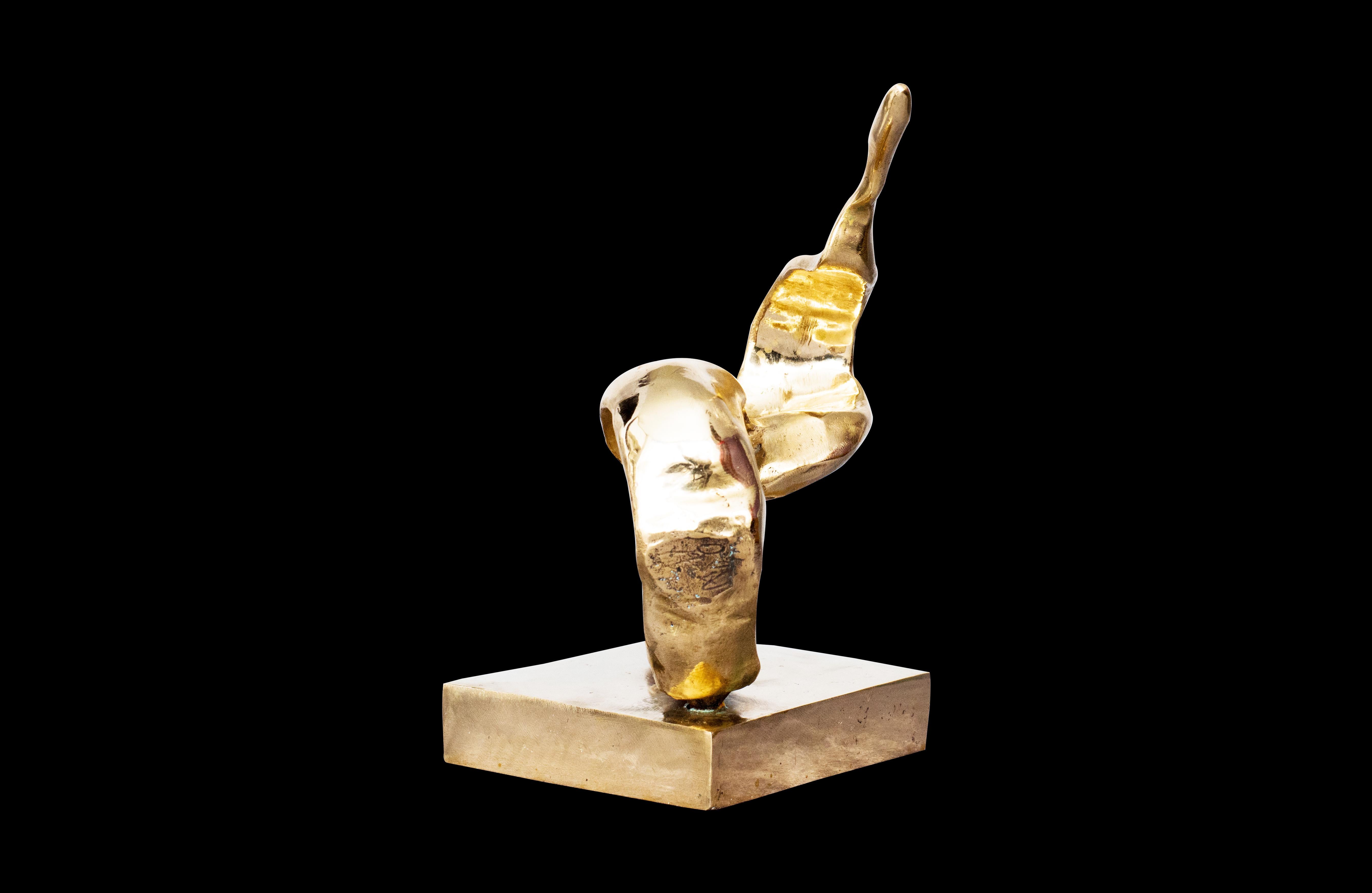 Escultura de bronce 

Aziz Anzabi es un artista británico de origen iraní nacido en 1970 que vive y trabaja en Londres, Reino Unido. Expone numerosas obras de arte en Estados Unidos, Países Bajos e Irán. Anzabi mezcla un estilo iraní casi extinto de
