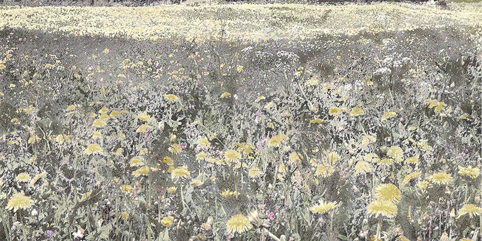 Aziz + Cucher Landscape Print - Field #13